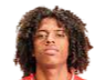 https://img.yhhuangshan.com/img/football/player/135ad8787fd13961a93e165e79e736ff.png