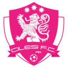 https://img.yhhuangshan.com/img/football/team/7aa0eae9d284e6aab302a00cb5107481.png